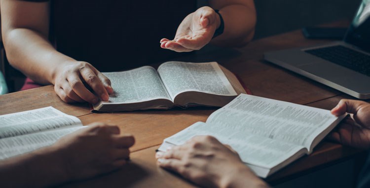 Vineyard Men: A Study of Colossians